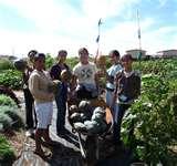 pictures of Culinary Schools On Oahu
